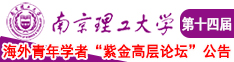 欧美操逼图南京理工大学第十四届海外青年学者紫金论坛诚邀海内外英才！